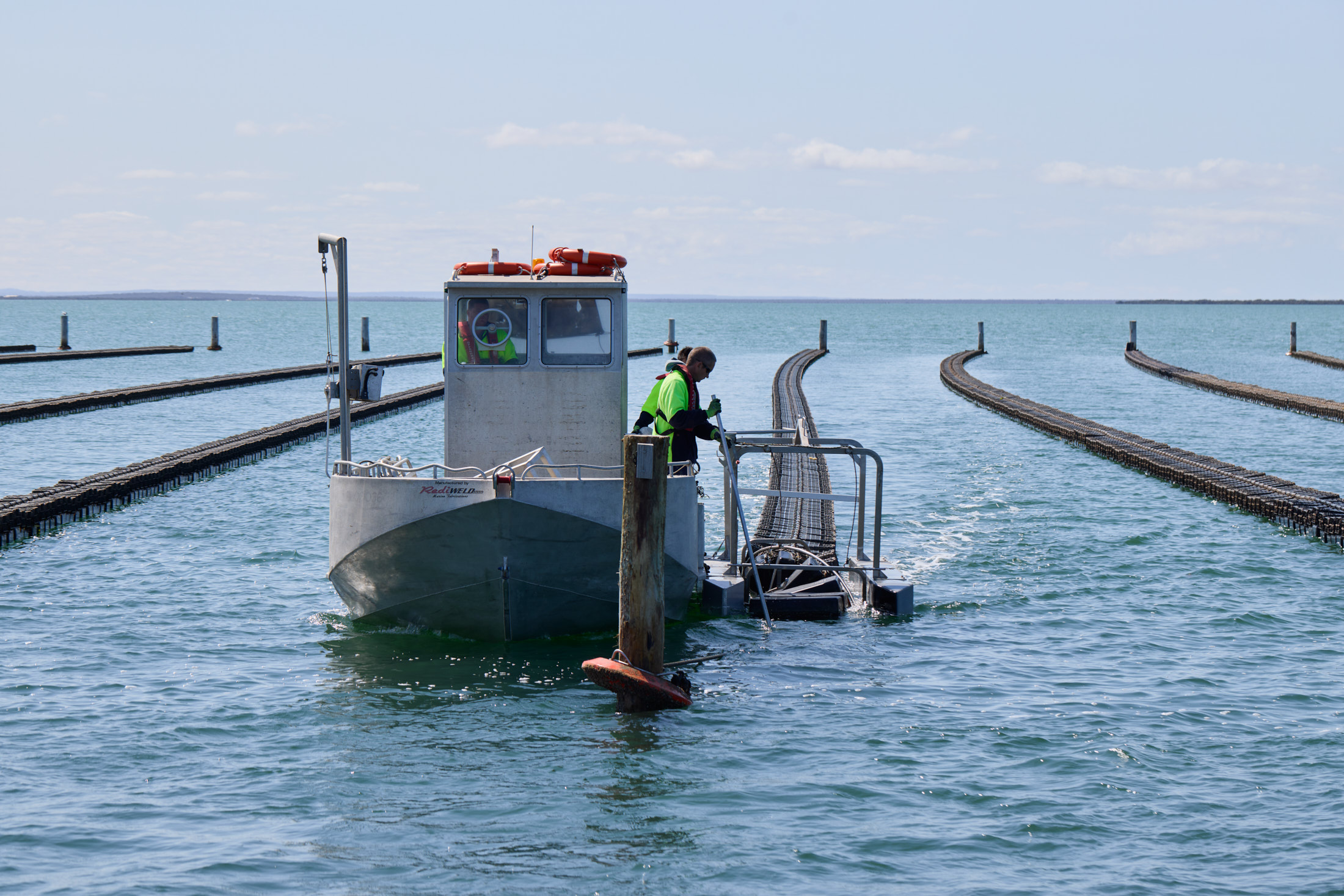 Flipping the Oysters